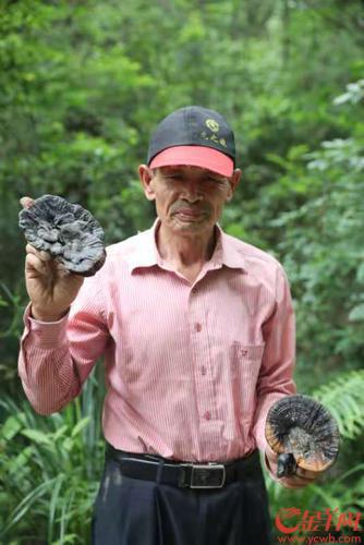 广州南沙区打出消费扶贫“组合拳”,巩固脱贫成果助推乡村振兴