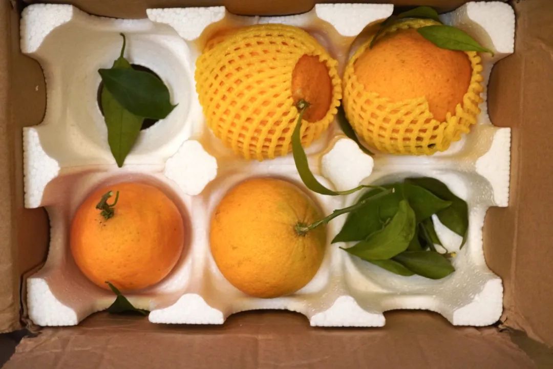 这世界上真有在拼夕夕购物而不翻车的人吗？