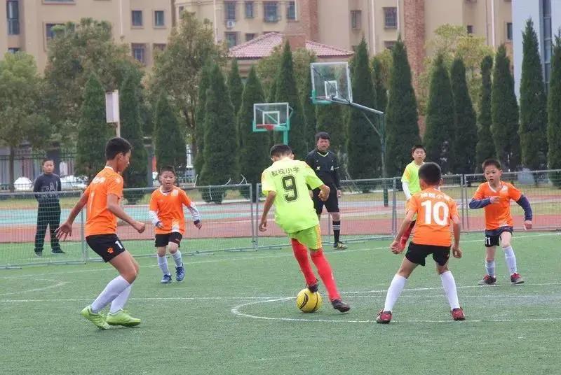 舟山小学亮相,浙江省舟山市城西小学体育