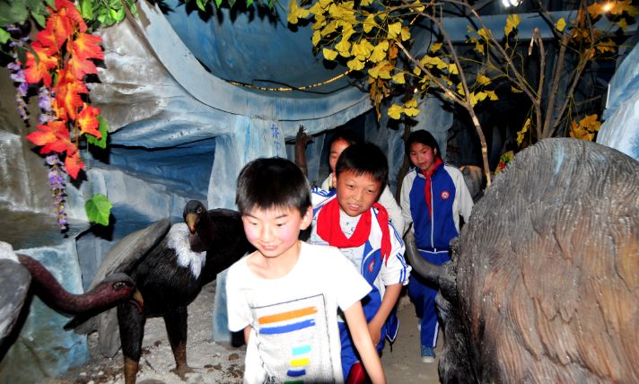 读万卷书行万里路畅游书海,读万卷书行万里路研学视频