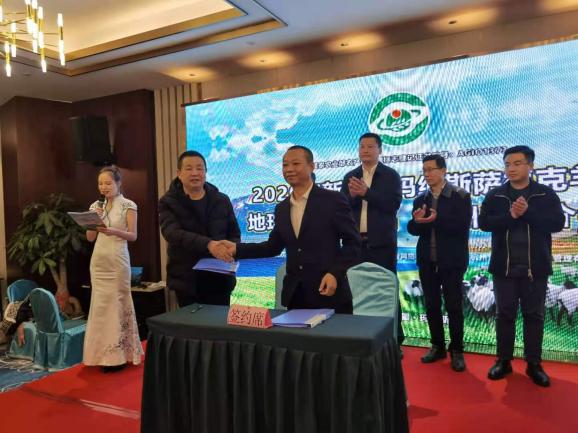 新疆玛纳斯萨福克羊,玛纳斯萨福克羊基地