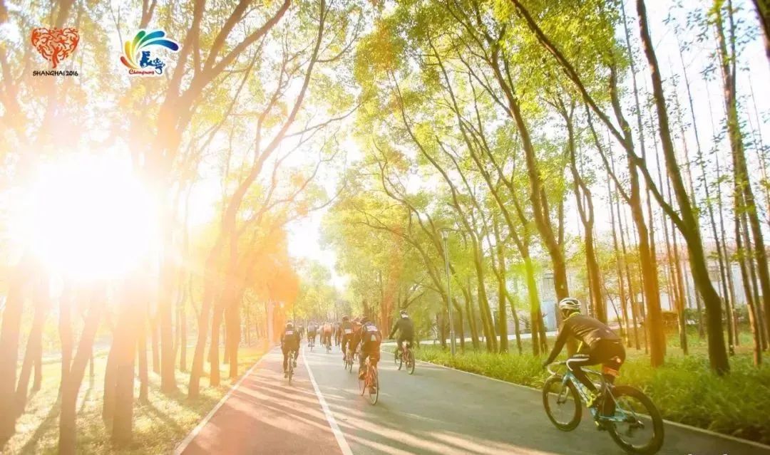 长宁文体中心什么时候建好,四川长宁文体中心建设图片