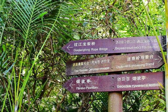 去三亚拍亲子写真照选什么地方,三亚旅拍亲子照爷爷奶奶可以去吗