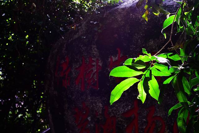 去三亚拍亲子写真照选什么地方,三亚旅拍亲子照爷爷奶奶可以去吗