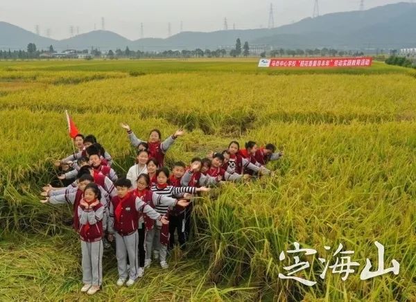 定海游玩推荐适合带孩子,舟山定海带娃好去处