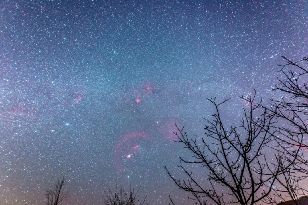 宝鼎寺夜晚,宝鼎寺里面有什么