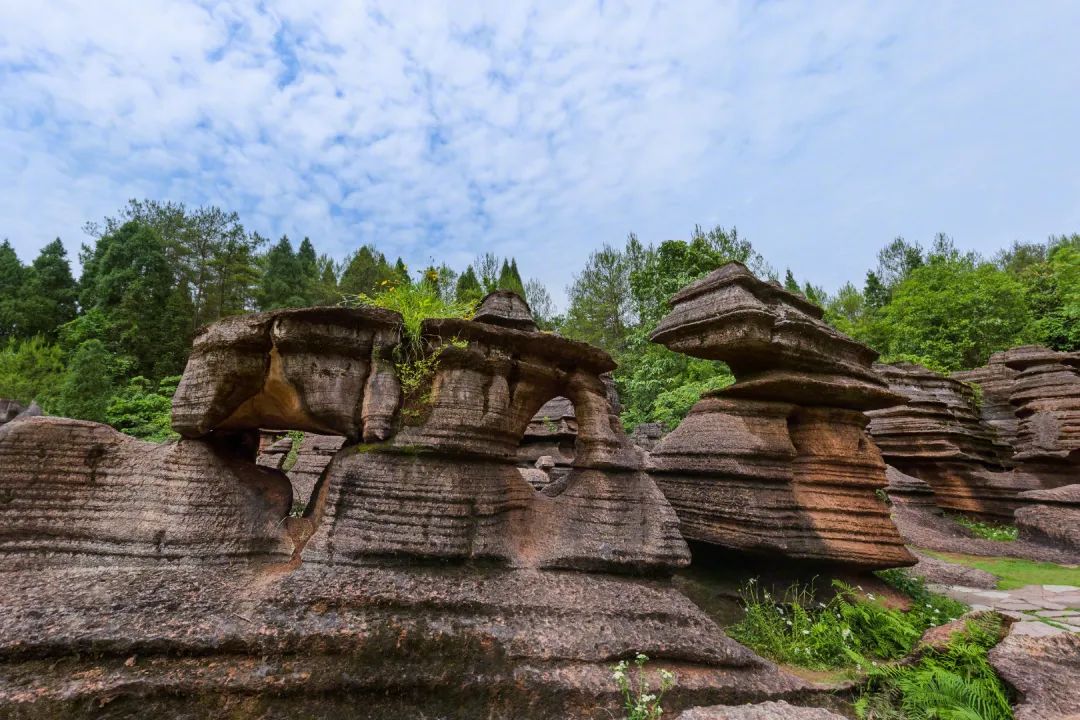 30道测试题,十道题测试你是否真的了解