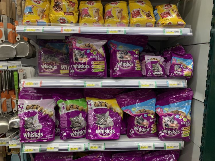 猫宠推荐便宜好用,青岛猫宠