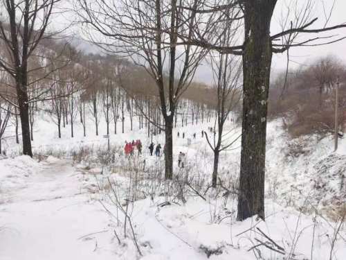 宝鸡站2018年春运,宝鸡春运啥时候结束