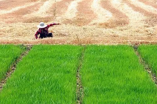 太极拳申遗是哪个名录,太极拳列入世界非遗名录大型晚会