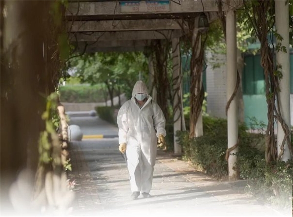 坚守与创变——丽岛二十年创业路