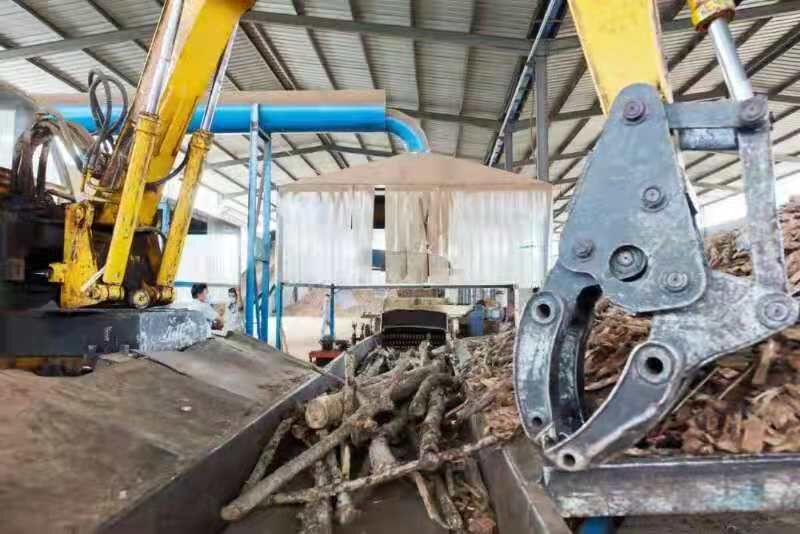 苹果枝做家具,苹果枝变金蝉卵枝