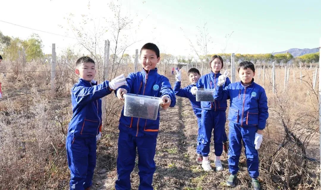 像嫦娥五号一样，去“月宫”挖土！这些学校的劳动课堂爱了爱了！