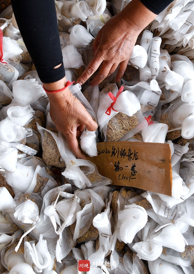 视觉四川年终盘点6｜何海洋：2020年，我努力用镜头“看见”大家的努力