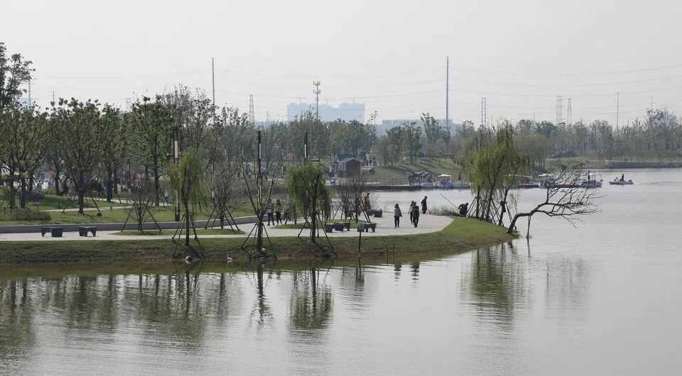 缓解城市热岛效应的措施,缓解城市热岛效应的有效建议