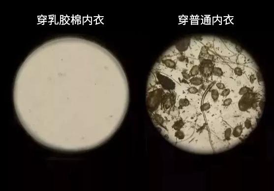 红内衣鸿运当头,红内衣保暖本命年