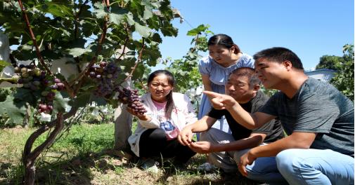 春风暖人心驻村帮扶,扎根基层驻村帮扶
