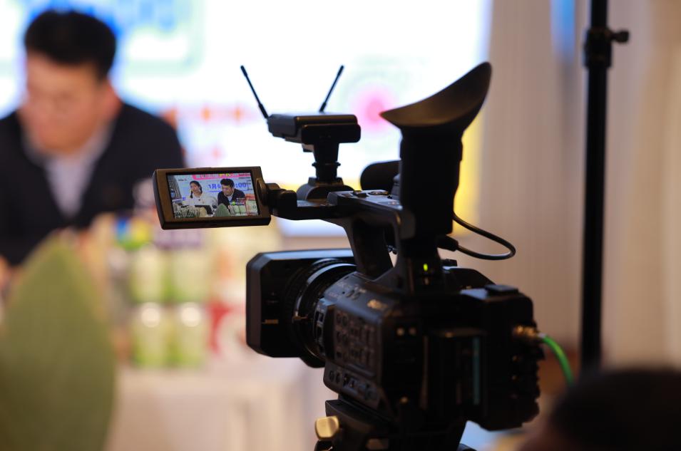 崇明跟金山,金山和崇明哪个潜力大