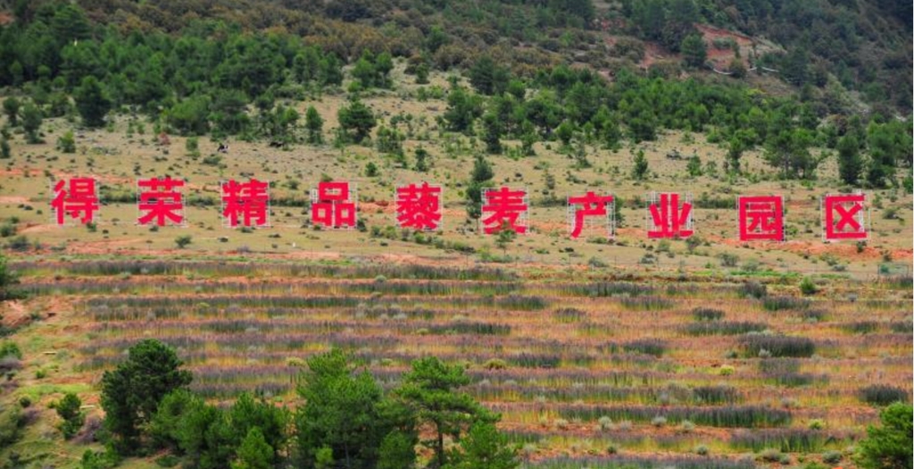 20年支援“太阳谷”成都青羊区助力得荣产业“造血”