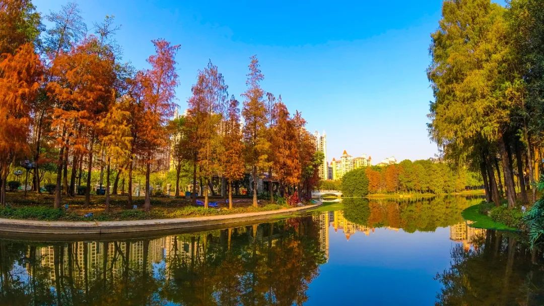 1月最美的佛山藏在这里!全部免费赏!