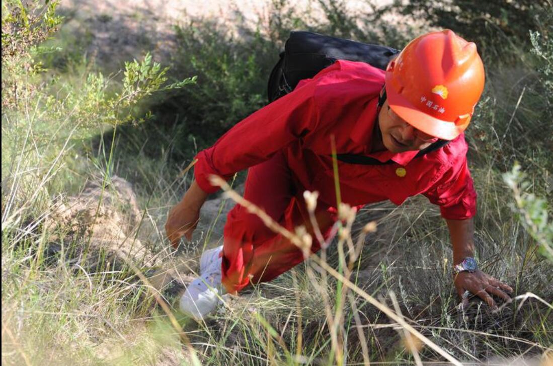 中石油全力备战天然气冬季保供,甘肃中石油昆仑燃气公司供气