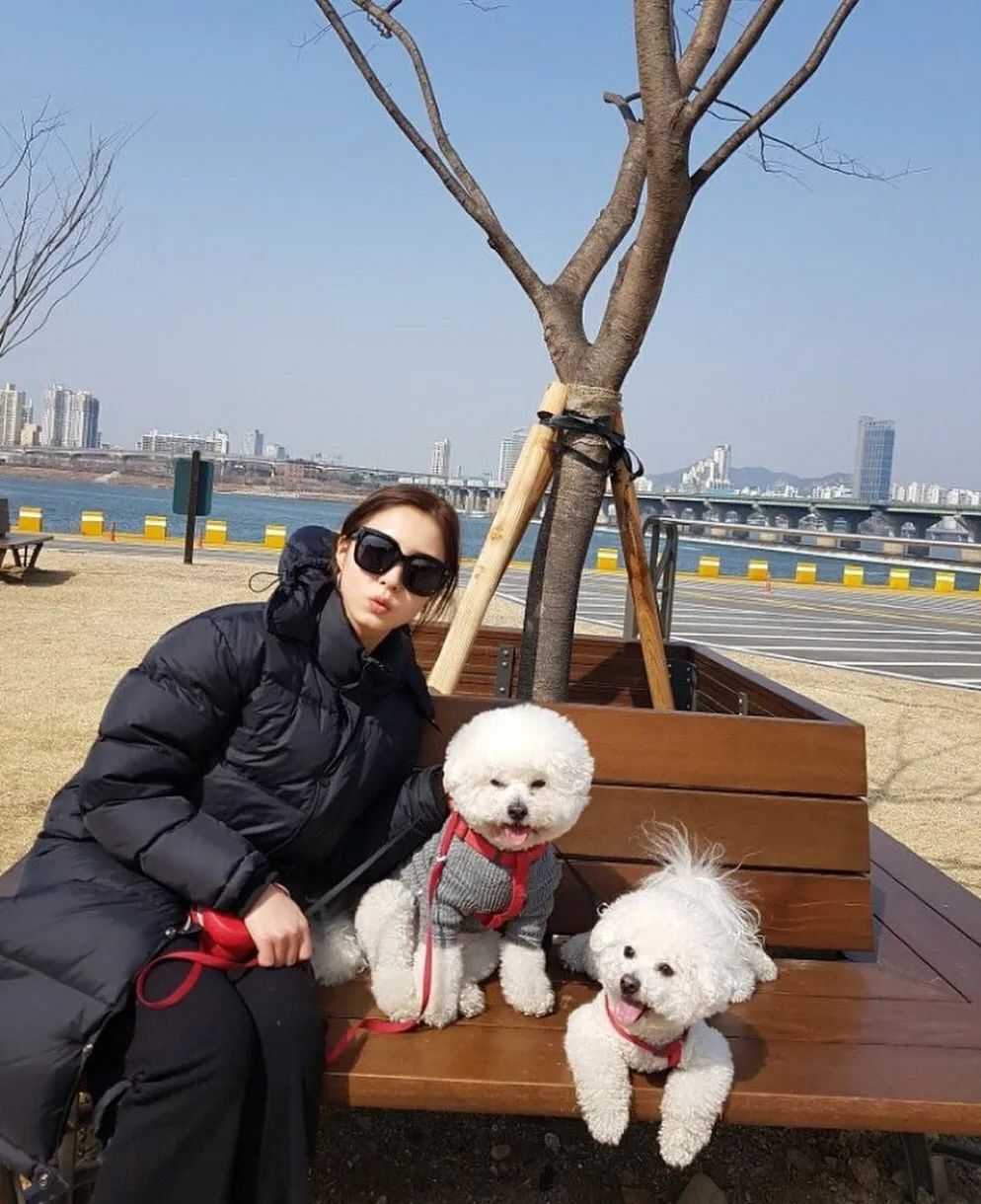 申世景为什么那么美,申世景颜值巅峰图片