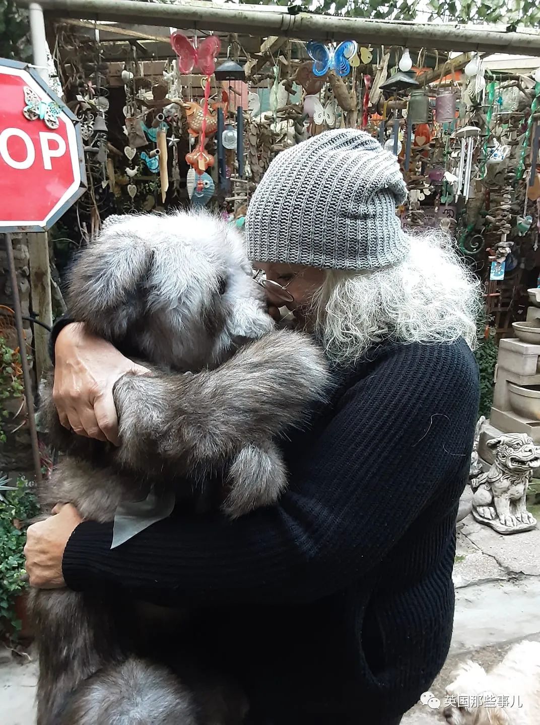 她治好12500只泰迪熊，用毛绒绒治愈自己和无数人…