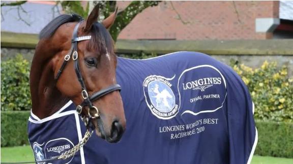 世界马匹年终排名出炉，中国香港“金枪六十”跻身前十