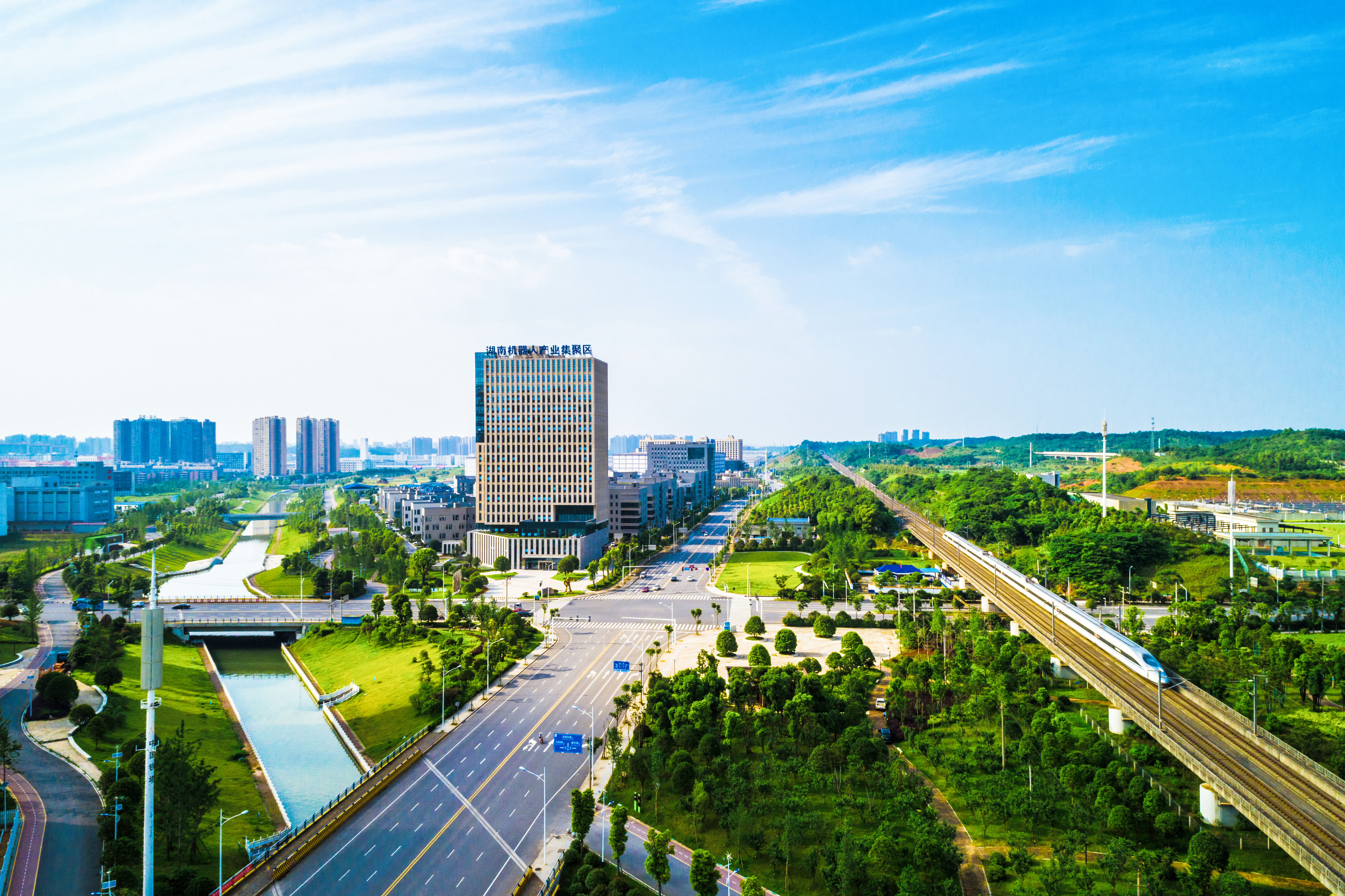 领跑之路|晚报特稿