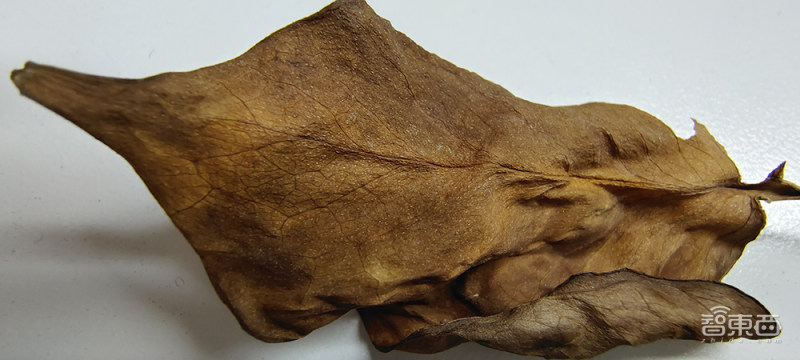 iQOO7深度体验：骁龙888尚有“余力”，120W快充颠覆习惯