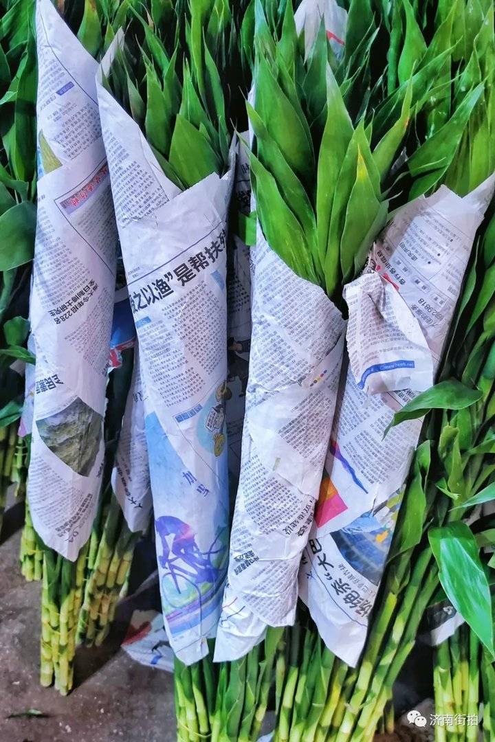 济南花卉市场哪个最大最出名,开放的济南花卉市场有哪些