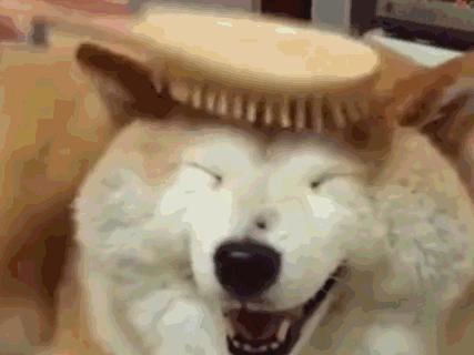 气温暴降10°C！常州春节天气……