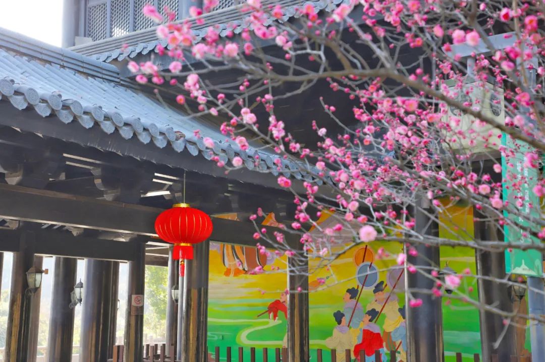 湖州长兴年味,湖州年味图