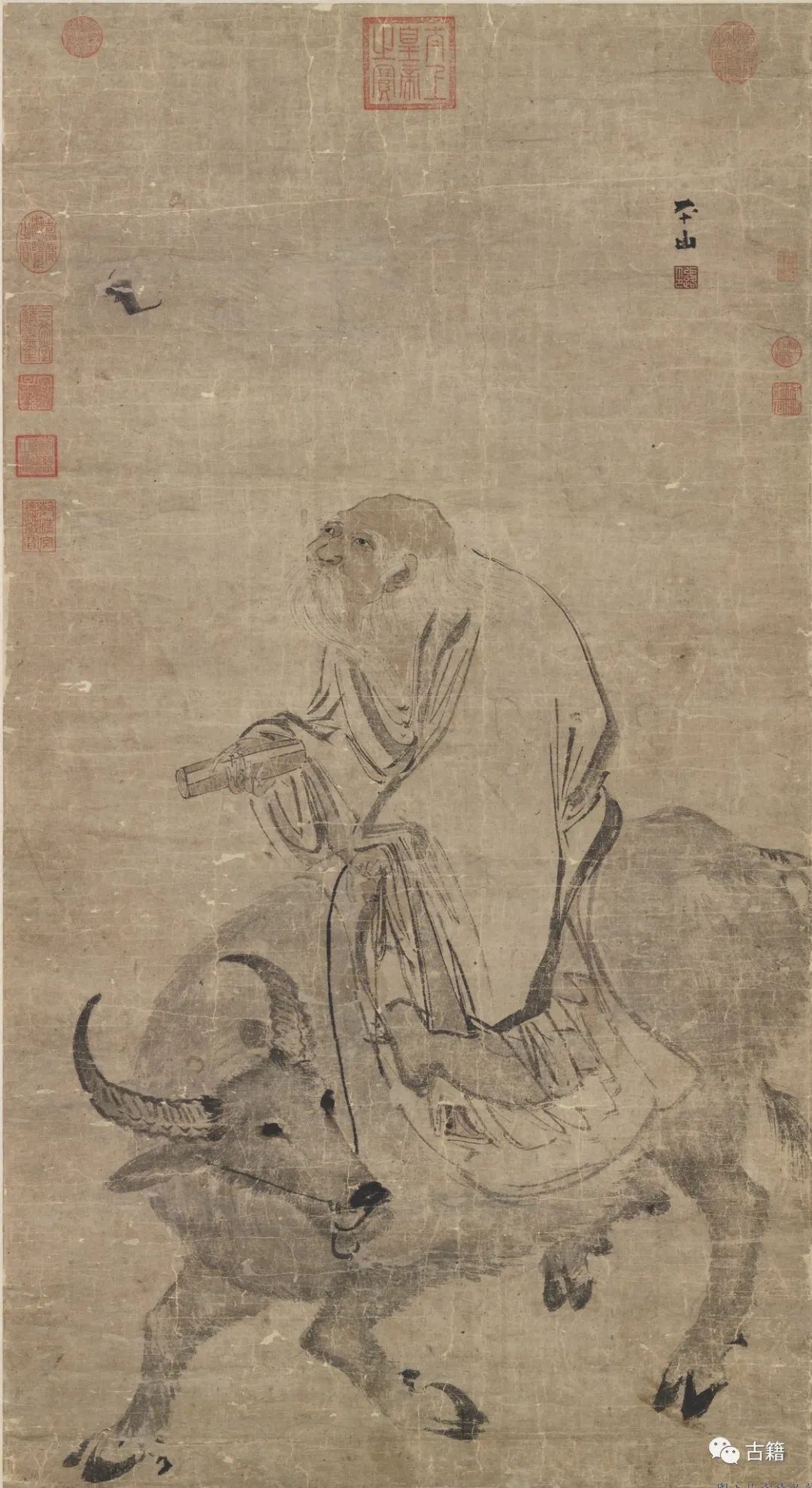 丑牛的闲话视频,闲话丑牛完整视频