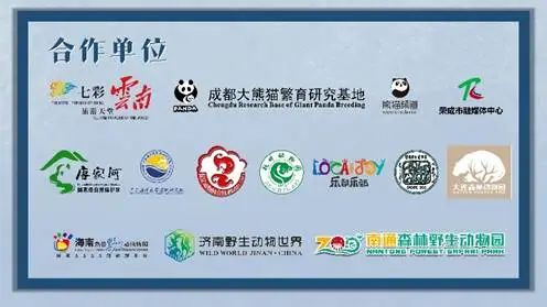 动物们已就位,央视频邀你一起“云”逛动物园