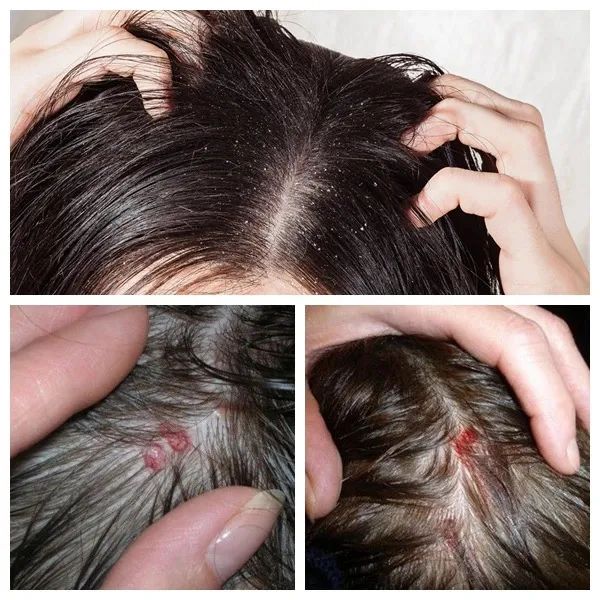 品牌干发帽吸水速干不伤头发,速干帽加厚超强吸水