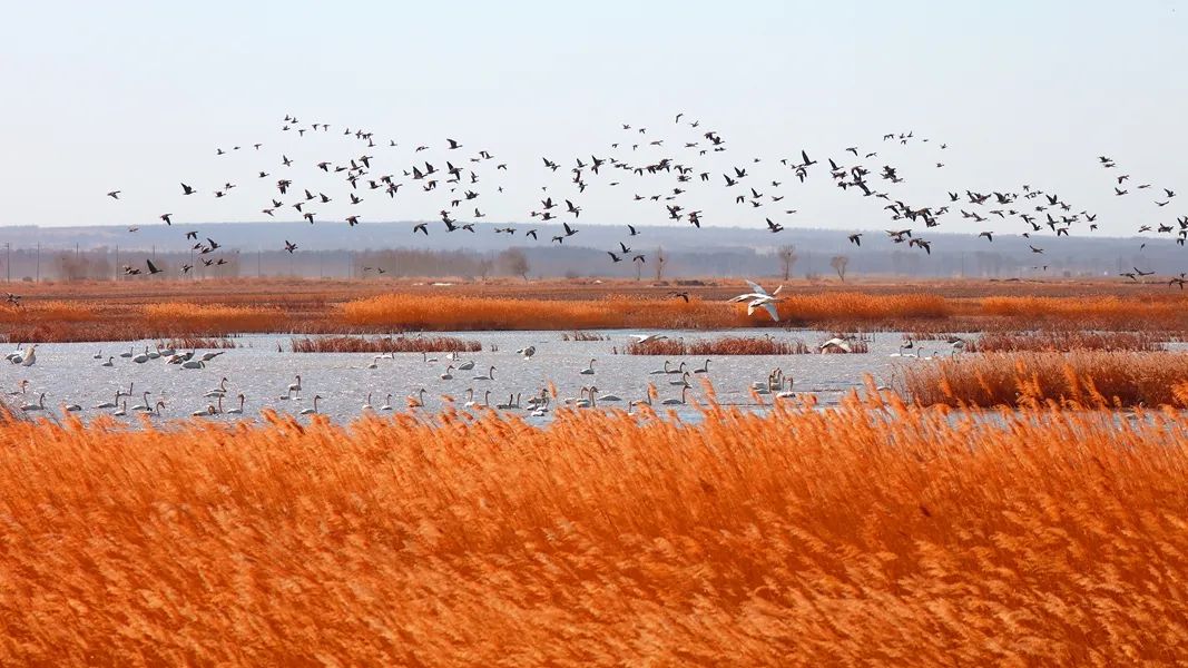 鍙や粖杈夋槧瀹屾暣瑙嗛,鍙や粖浜ょ浉杈夋槧