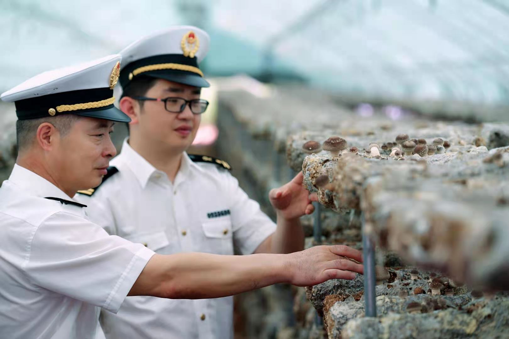 海关稳外贸促发展,优环境促发展