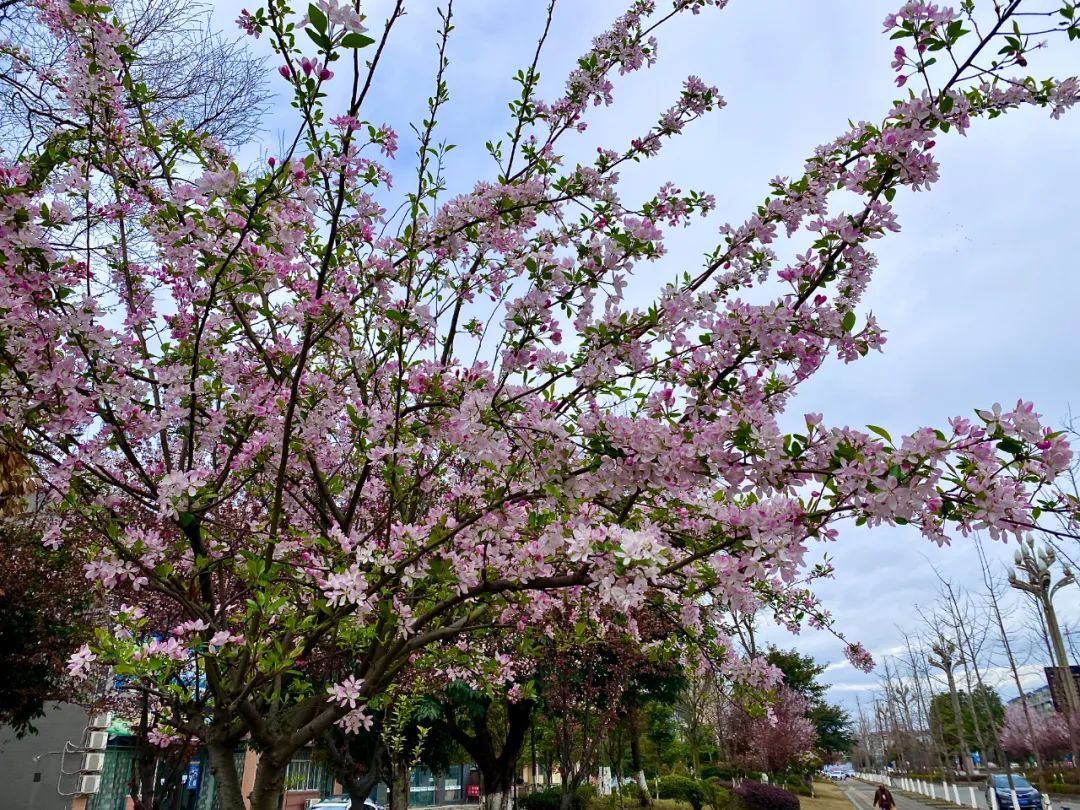 什邡风景好看的地方,什邡附近比较有名的景色