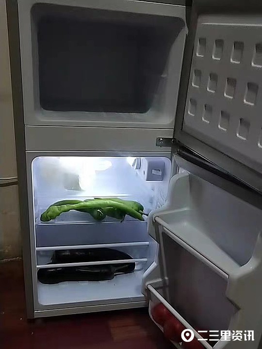 315曝光|宝鸡市民网购樱花冰箱用10个月不制冷！商铺电话竟是空号