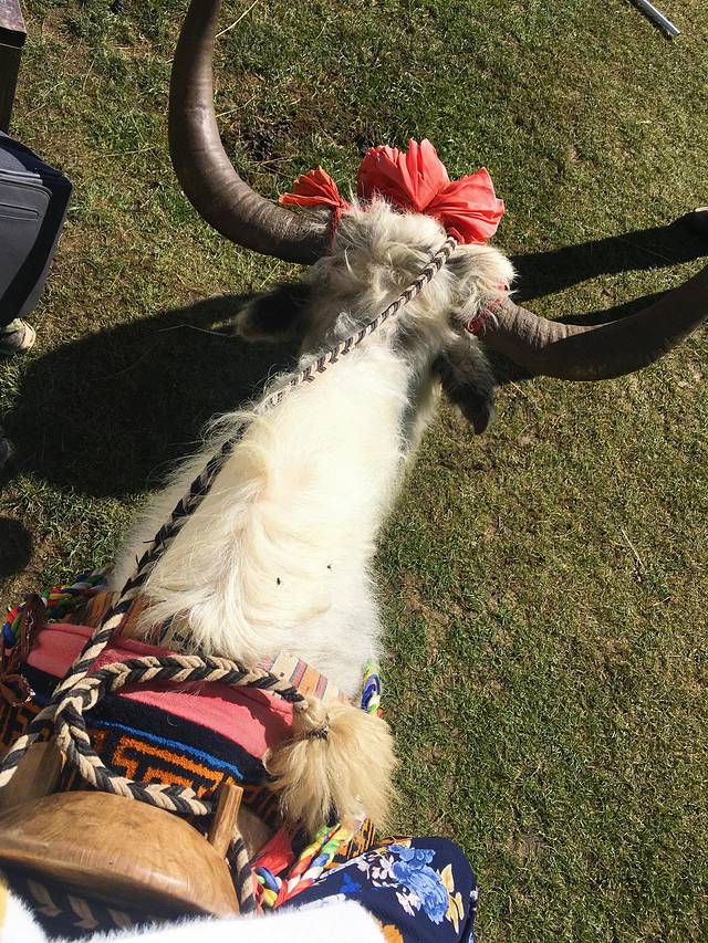 云南7日自由行最全攻略,云南8日自由行攻略