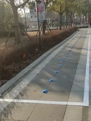 新虹3月·实况丨共享单车回归，点位地图来了！快来解锁正确的“打开方式”吧