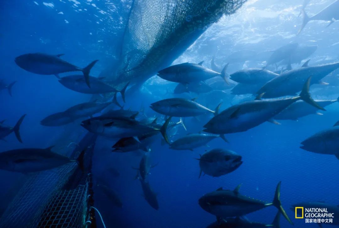 娴疯睔鏈夊瀹夊叏,娴疯睔鍓嶉儴闃叉挒鎻愮ず