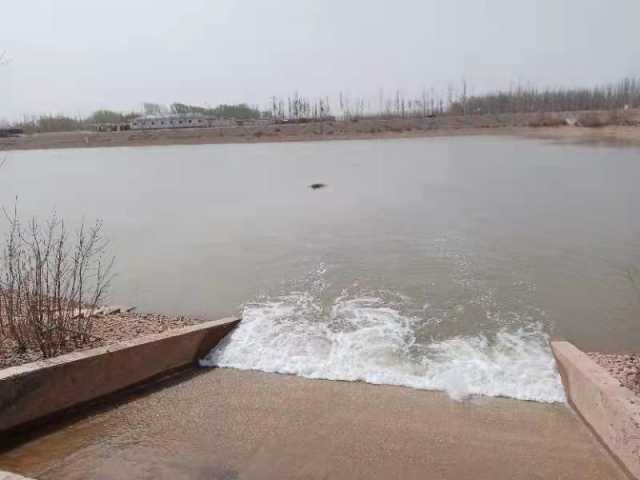 怎么办?利通区18万头牛的“水槽”快见底了