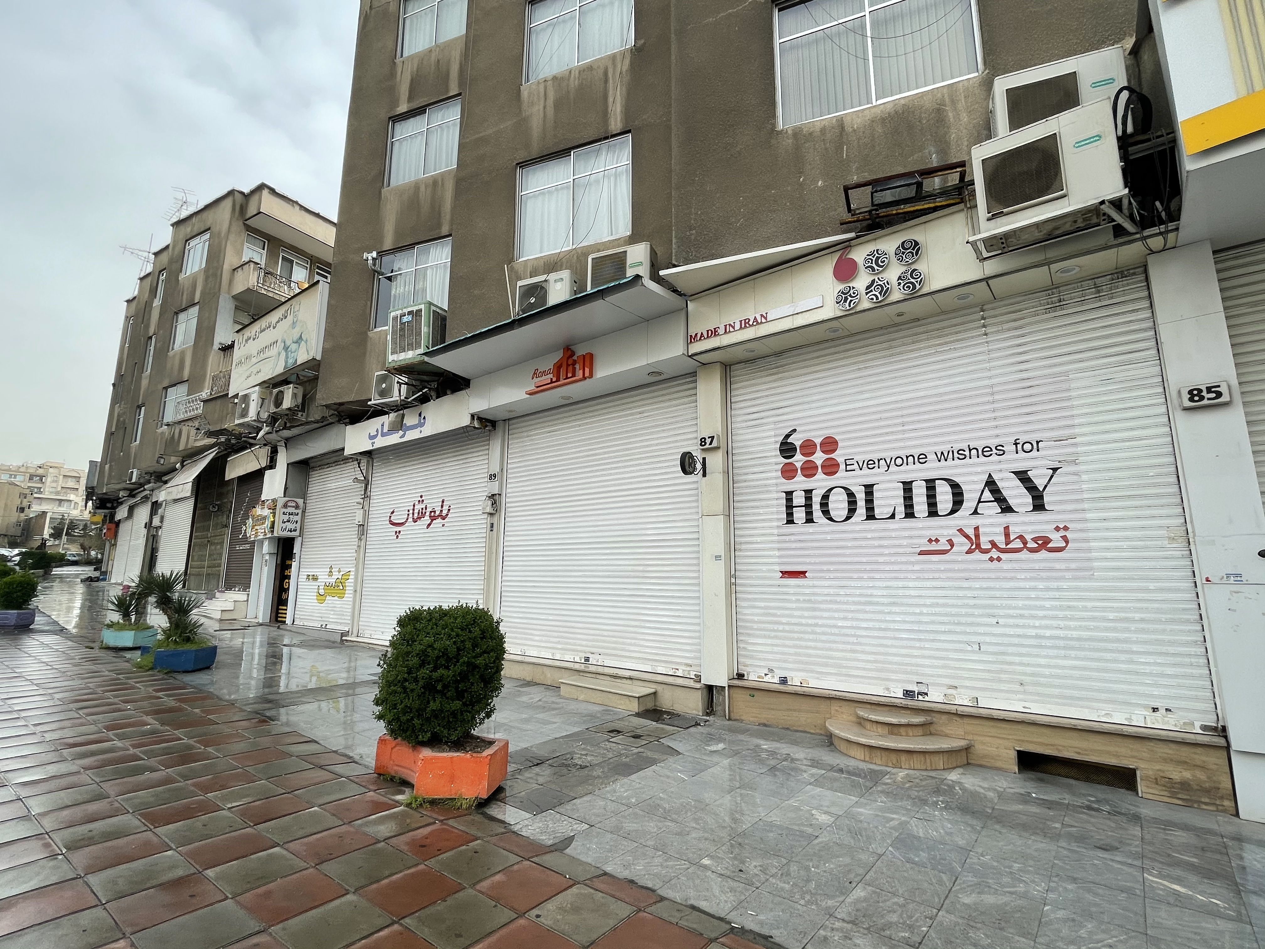 驻外手账|买金鱼、备“七鲜”,伊朗人这样过新年