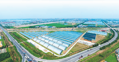 鍐滀笟瑙傚療瀵垮厜钄彍涔嬩埂,浜烘皯鏃ユ姤鍏虫敞钄彍涔嬩埂瀵垮厜