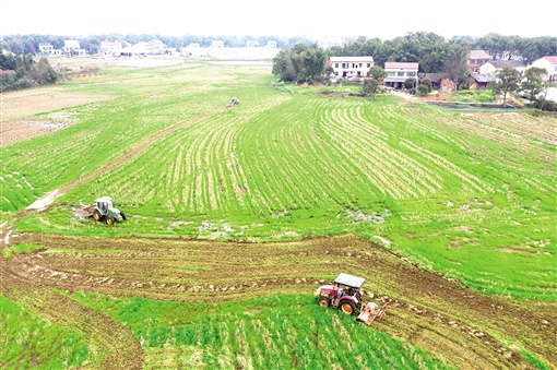资阳暑假幼托班,资阳哪里有田往外承包