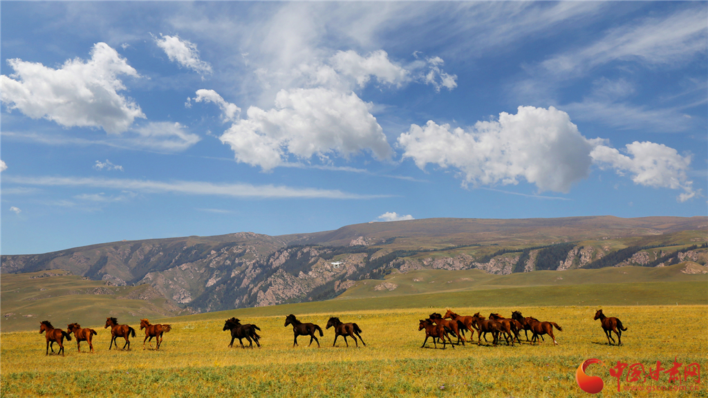 甘肃和政文旅融合共创5a级景区,甘肃文旅环西部游