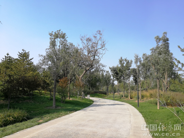 出门游玩被虫子咬怎么去除,五一出游被虫子咬了