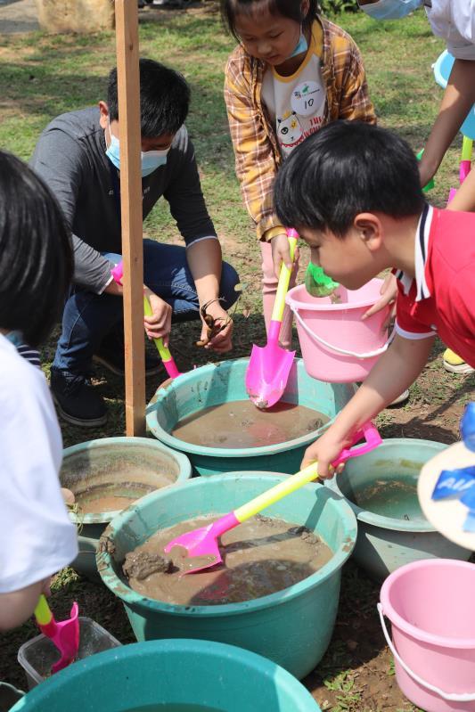 微型碗莲品种种植,微型碗莲成品苗的种植方法